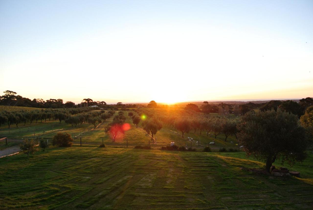 The Farm Willunga Bed & Breakfast Room photo