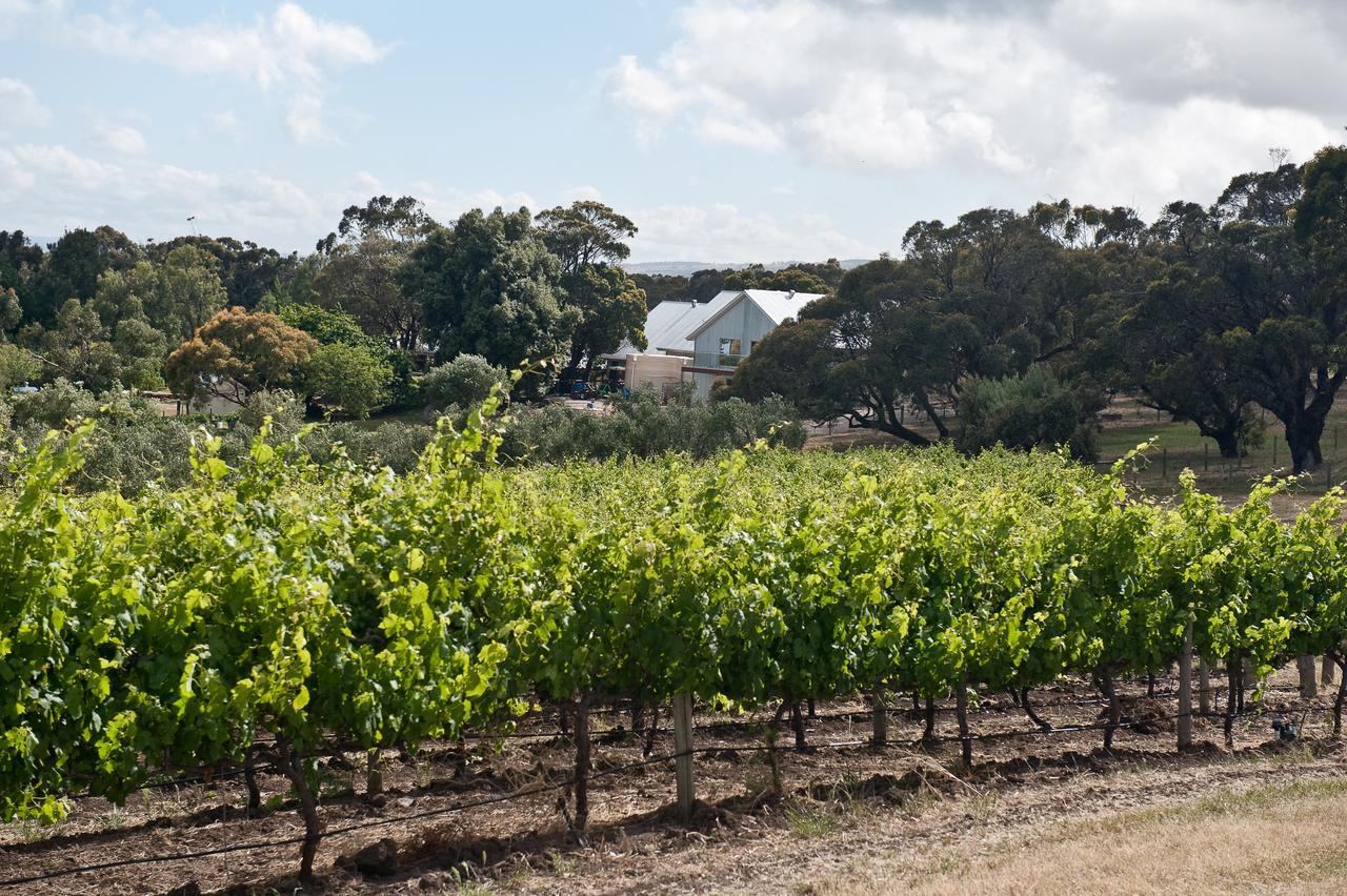 The Farm Willunga Bed & Breakfast Exterior photo